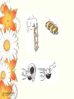 một số hình ảnh sơ cấp cứu