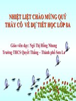 Tiết 65: Ôn tập chương IV-ĐS 8