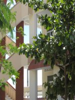 bài 26. Cảm ứng ở động vật