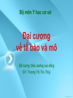 đại cương về tế bào và mô