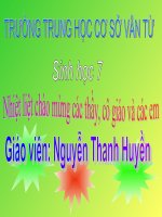 Bài 44: Đa dạng và đặc điểm chung của lớp chim