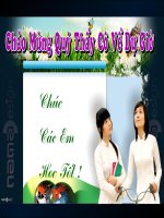 Tiết 24 Lịch sử 9