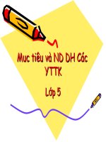 Mục đích và nội dung YTTK lớp 5