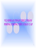 VE SINH AN TOAN THUC PHAM