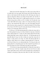 Nghiên cứu đặc điểm tổn thương và kết quả phẫu thuật kết xương nẹp vít – ghép xương tự thân điều trị khớp giả xương cánh tay