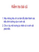 Bài 34: Các kiểu dinh dưỡng và chuyển hóa vật chất