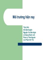 Môi trường hiện nay