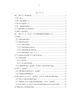 Các nhân tố tác động đến sự hài lòng của khách hàng sử dụng dịch vụ tắm bùn đặc biệt tại trung tâm du lịch suối khoáng nóng tháp bà nha trang