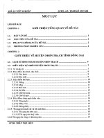 Nghiên cứu thực trạng việc quản lý môi trường tại huyện nhơn trạch và đề xuất các giải pháp khắc phục