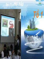 bài 17 (nâng cao) hô hấp  tổ 1