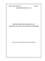 Tiếp thị xã hội với việc bổ sung sắt cho phụ nữ có thai dân tộc mường