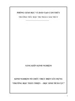 skkn kinh nghiệm tổ chức thực hiện xây dựng “ trường học thân thiện, học sinh tích cực thcs cẩm thủy