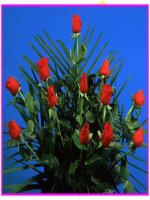 Bài 8 - Pháp luật với sự phát triển của công dân