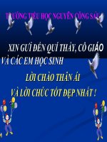 Cây mọc lên từ hạt