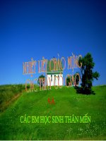 Đa dạng của lớp Thú