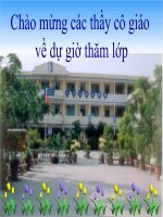 TLV-Kể về một lễ hội