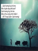 Ca dao về T/y quê hương, đất nước