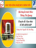 Chuyên đề: Giao thức ICMP,ARP,RARP