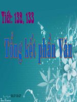 Tiết 132, 133 Tổng kết phần Văn