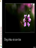Chuyện hai ông cháu và con lừa