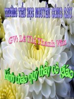 Vẽ:Cái ấm pha trà