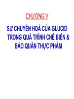 SỰ CHUYỂN HOÁ CỦA GLUCID TRONG QUÁ TRÌNH CHẾ BIẾN & BẢO QUẢN THỰC PHẨM