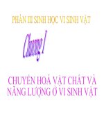 Bài 33: Chuyển hóa vật chất ở vi sinh vật