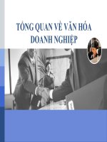 TỔNG QUAN VỀ VĂN HÓA DOANH NGHIỆP