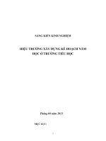 SÁNG KIẾN KINH NGHIỆM  _ HIỆU TRƯỞNG XÂY DỰNG KẾ HOẠCH NĂM   HỌC Ở TRƯỜNG TIỂU HỌC