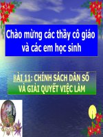 Bài 11- Chính sách dân số và giải quyết việc làm