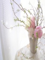 Bài 21. Phong trào Cần Vương