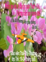 máy bay.lớp trẻ 19-24 tháng tuổi,