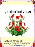 Biểu đồ phần trăm.ppt