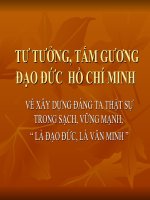 Bai giảng tư tưởng Hồ chí minh về xây dựng đảng trong sạch vững mạnh