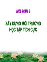 GIAO AN PLAN MODUN 2 (19-22-5-2010)