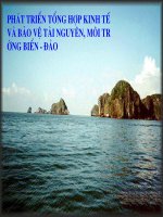 Phát triển tổng hợp kinh tế biển