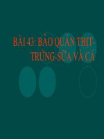Bai 43 Bao quan thit trung sua va ca