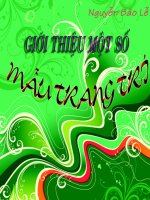 Gioi thieu mot so mau trang tri1