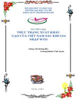 Thực trạng  xuất khẩu gạo của việt nam sau khi gia nhập WTO
