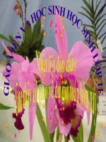 ÔN TẬP: CÁC SỐ ĐẾN 100 TRANG 177