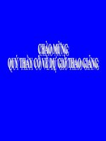 Lịch sử: Tổng khởi nghĩa cách mạh tháng 8