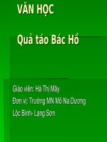VĂN HỌC: QUẢ TÁO BÁC HỒ