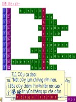 Ô chữ 20-11 y mỹ