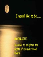 Tôi chỉ muốn là con chim nhỏ bé