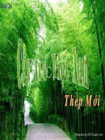 Tiết 109: CÂY TRE VIỆT NAM