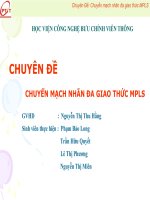 Chuyên đề: CHUYỂN MẠCH NHÃN ĐA GIAO THỨC MPLS