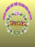 Tập đọc - Cây xoài của ông em