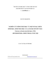 Nghiên cứu hình thái học và một số đặc điểm sinh học, sinh thái học của loài bọ xít hút máu triatoma rubrofasciata (De Geer, 1773) (Heteroptera Reduviidae) ở Hà Nội