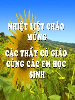 Nghị luận về hiện tượng đời sống