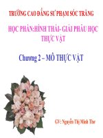Chương 2. Mô thực vật